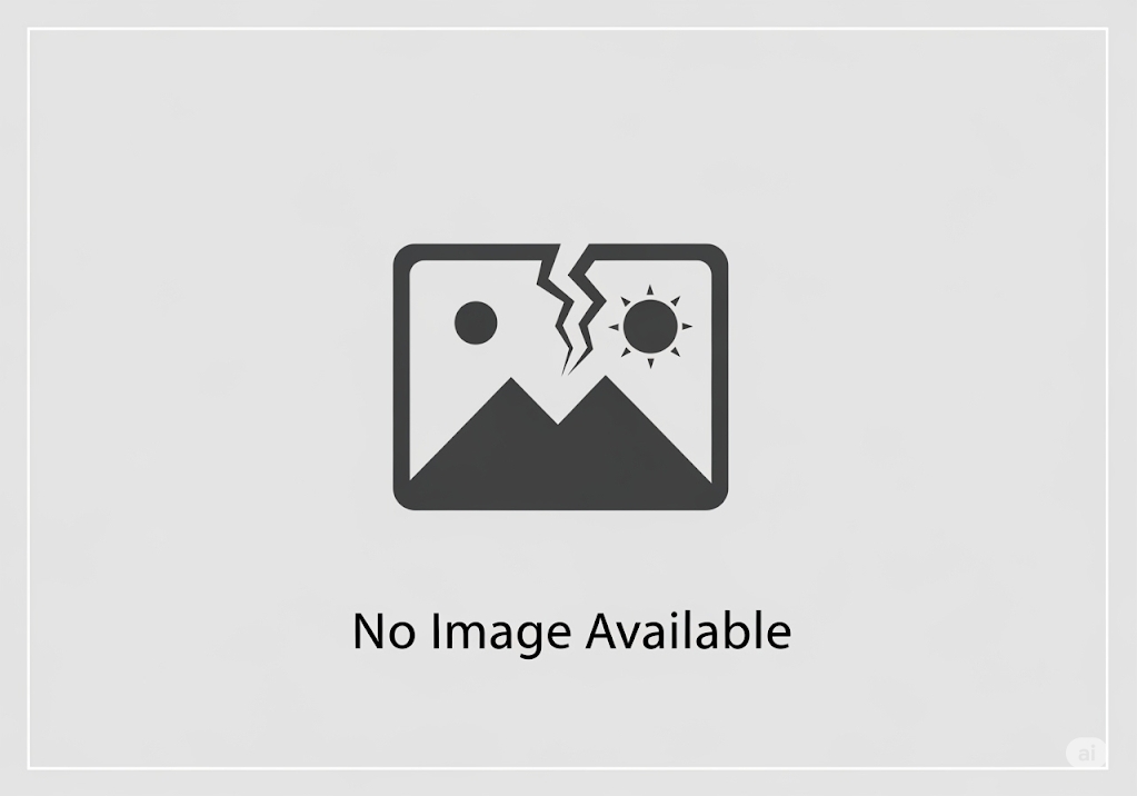 The Bone Builders' Blueprint: How Cells "Read" Plastic Surfaces to Heal Our Bodies